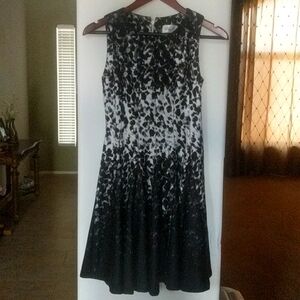 Eliza j elegant dress new with tag size 0